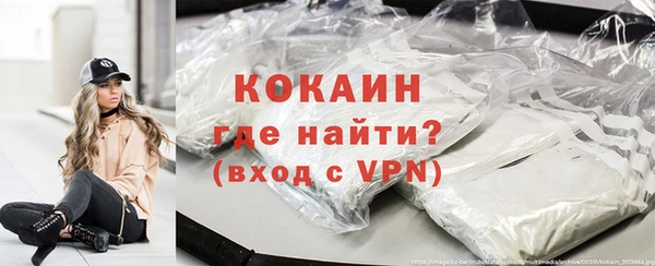 стаф Новокубанск