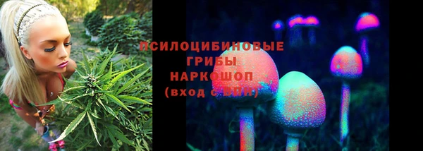 кокаин Новодвинск