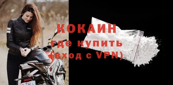 стаф Новокубанск