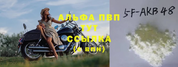 тгк Новозыбков