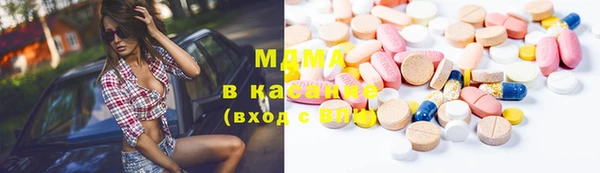 стаф Новокубанск