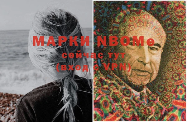 тгк Новозыбков