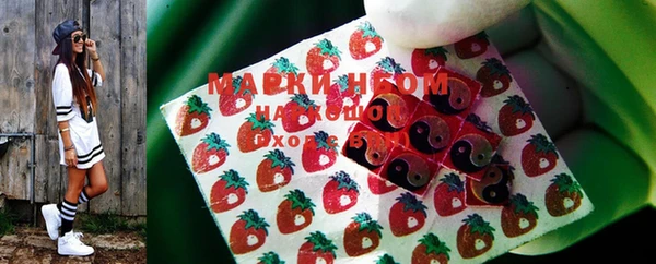 стаф Новокубанск