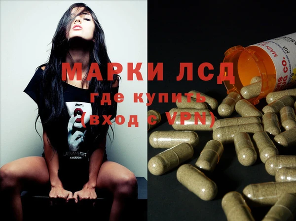 тгк Новозыбков