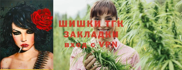 тгк Новозыбков