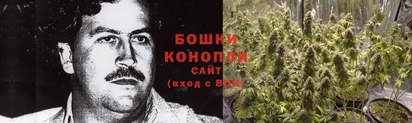 тгк Новозыбков