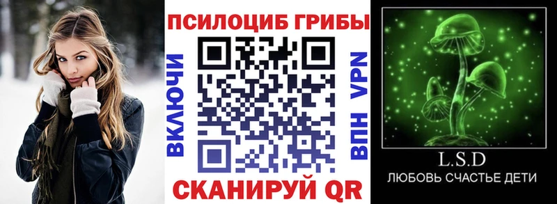 Псилоцибиновые грибы ЛСД  где продают   MEGA зеркало  это официальный сайт  Сурск 