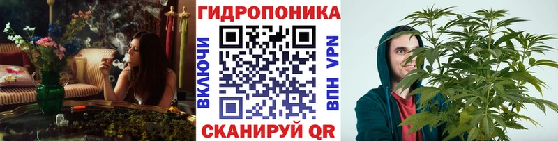 OMG вход  Сурск  Бошки марихуана Ganja 
